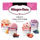 HAAGEN DAZS helado fruit collection minicups 4 uds 326 gr